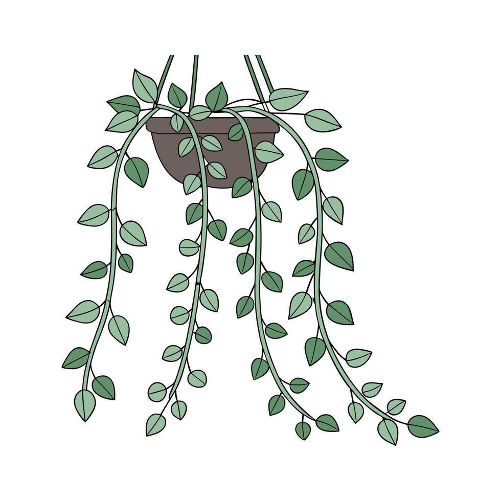 Stylish String of Pearls Display on White vector