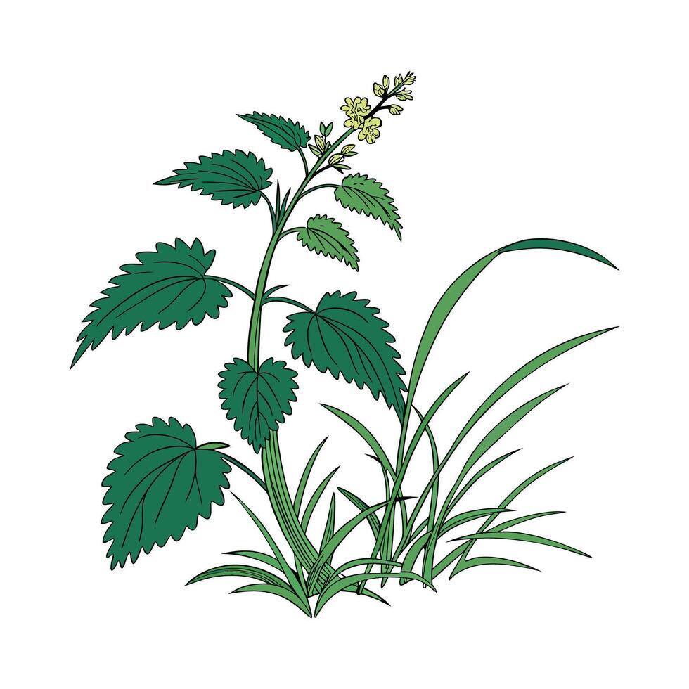 Elegant Swamp Plant in Bright Space vector
