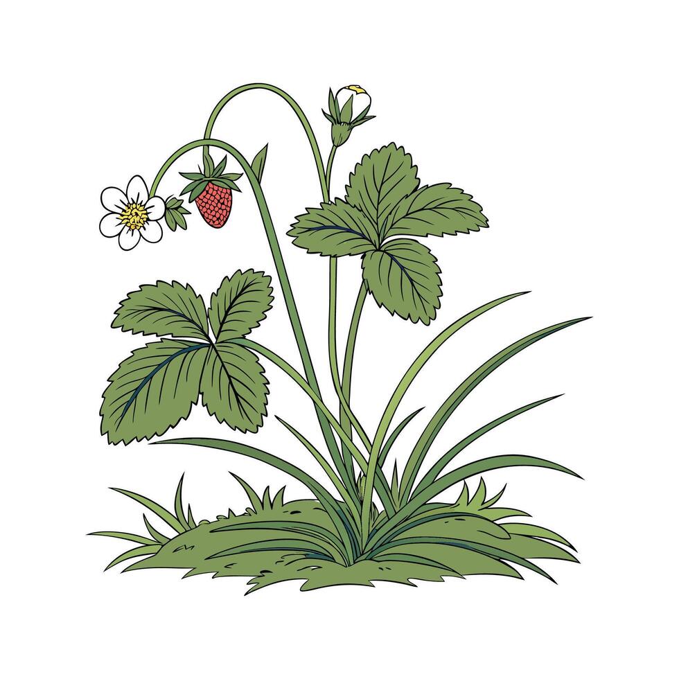 Charming Swamp Plant Display on White vector