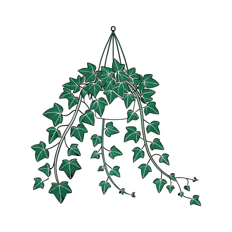 Stylish Swedish Ivy Display on Bright vector
