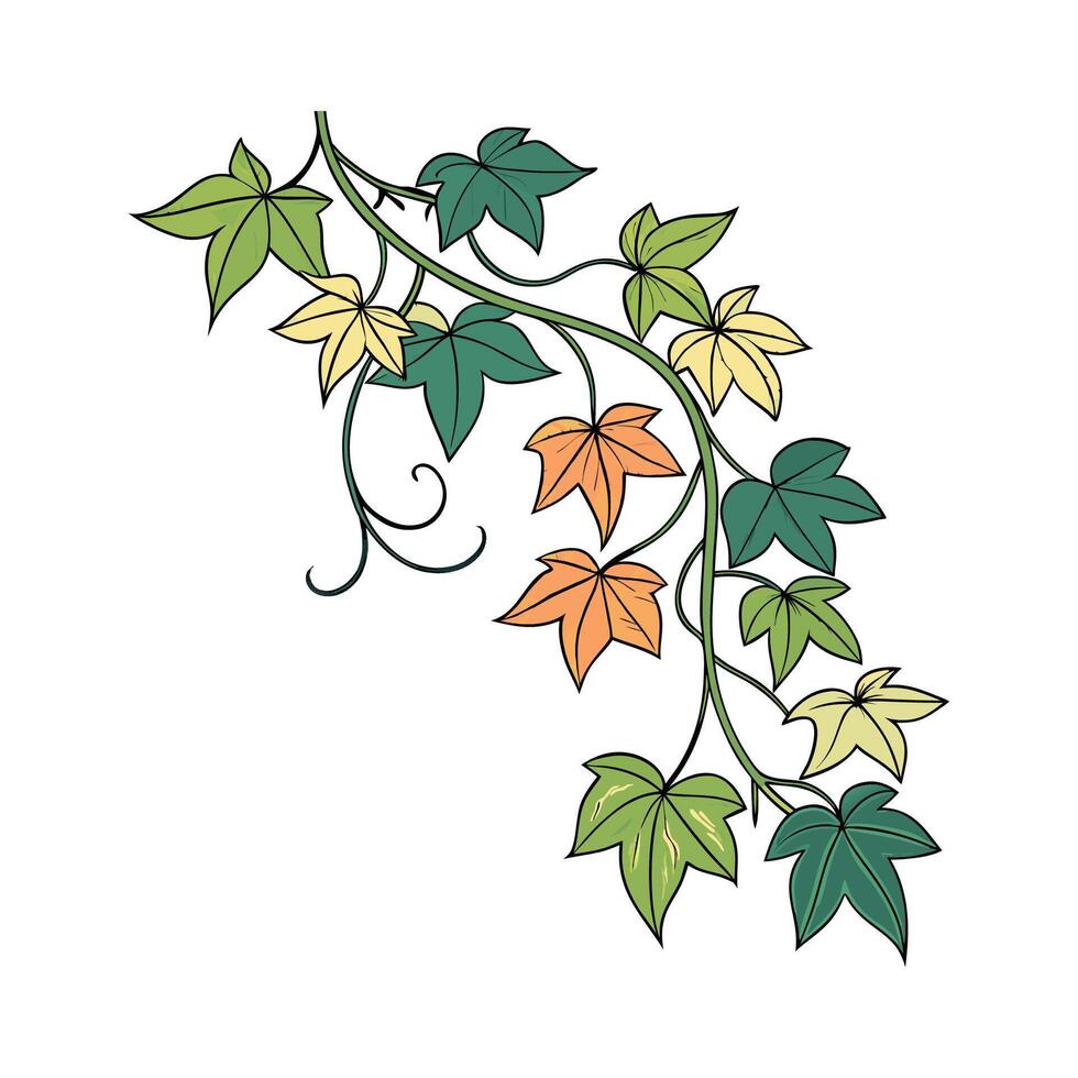 Elegant Sweet Potato Vine in Bright Space vector