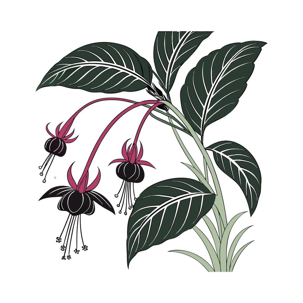 Charming Tacca Palm on Clean White vector