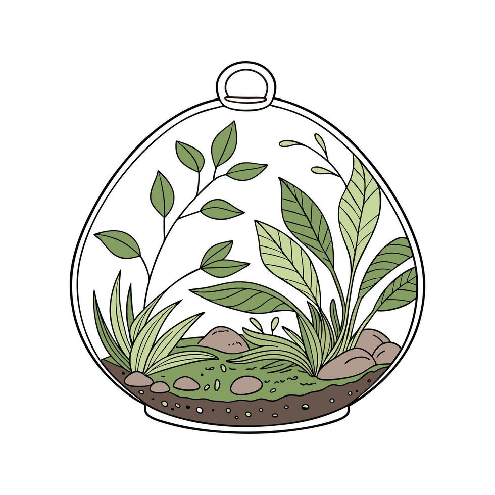 Stylish Terrarium Plant Display on Bright vector