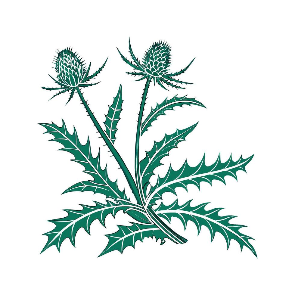 Elegant Thorny Devil Plant in Bright Space vector
