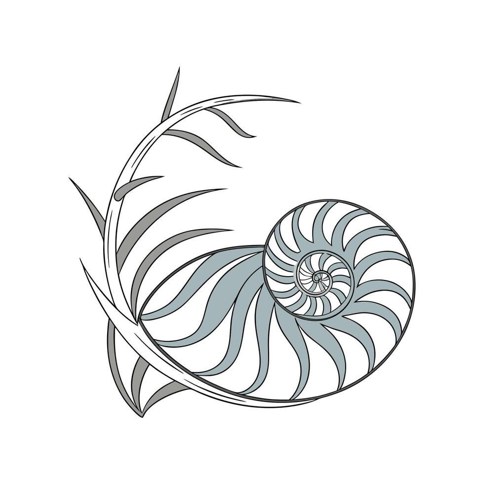 Stylish Tillandsia Xerographica Display on Bright vector