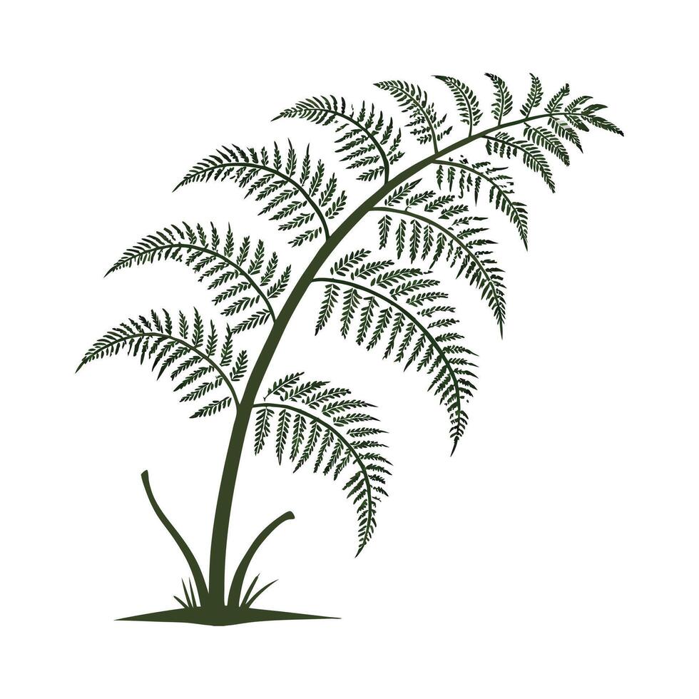 Elegant Tree Fern in Bright Space vector
