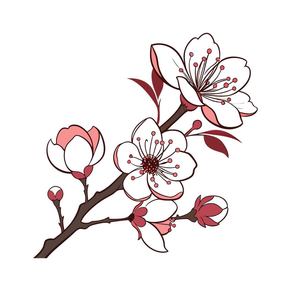 Stylish Tree Peony Display on Bright vector
