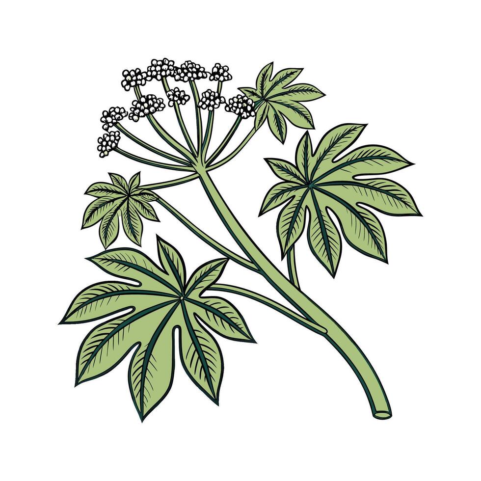 Elegant Umbrella Plant in Bright Space vector