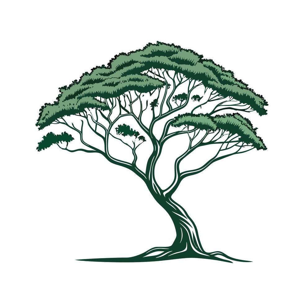 Charming Umbrella Tree Note on Clean White vector