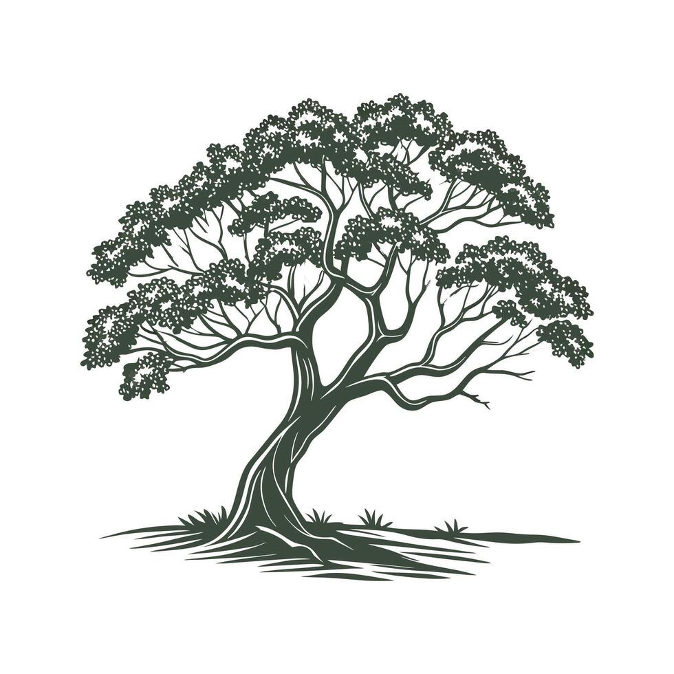 Elegant Umbrella Tree Note Display vector