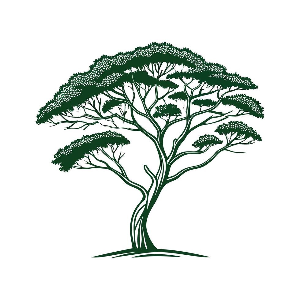 Beautiful Umbrella Tree Note on Clean White vector