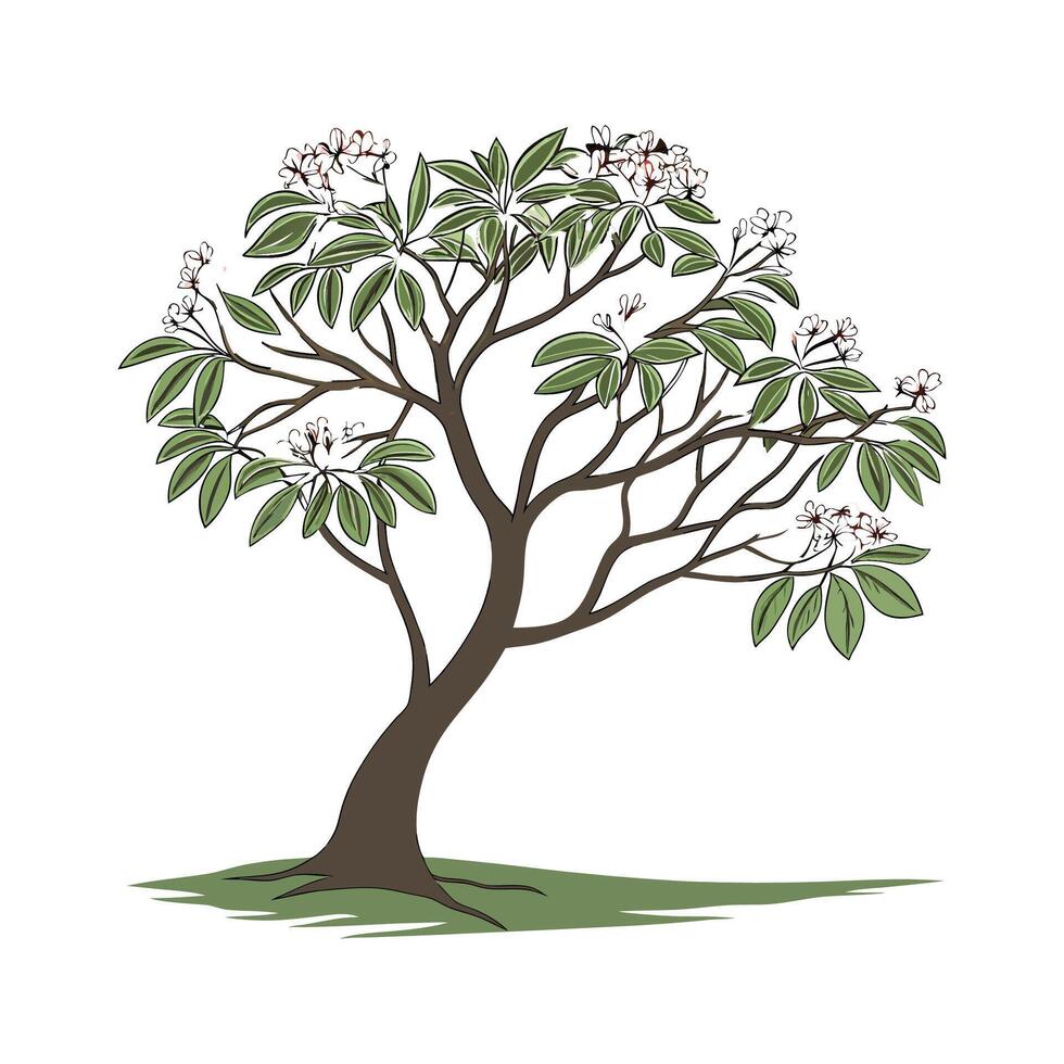 Charming Umbrella Tree on Clean White vector