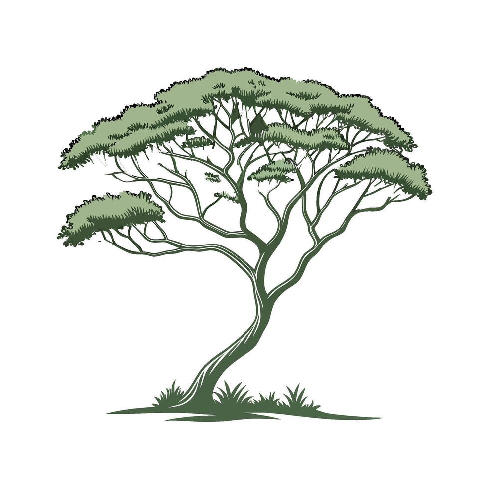 Stylish Umbrella Tree Display on Bright vector