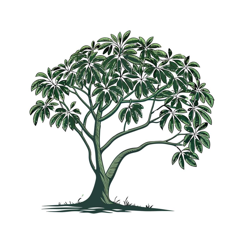 Beautiful Umbrella Tree on Clean White vector