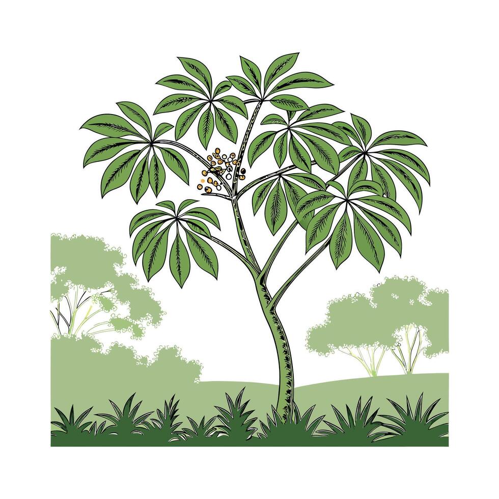 Elegant Schefflera Actinophylla in Bright Space vector