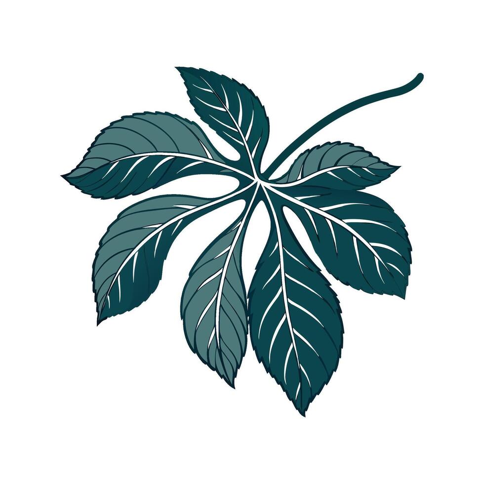 Beautiful Velvet Leaf on Clean White vector