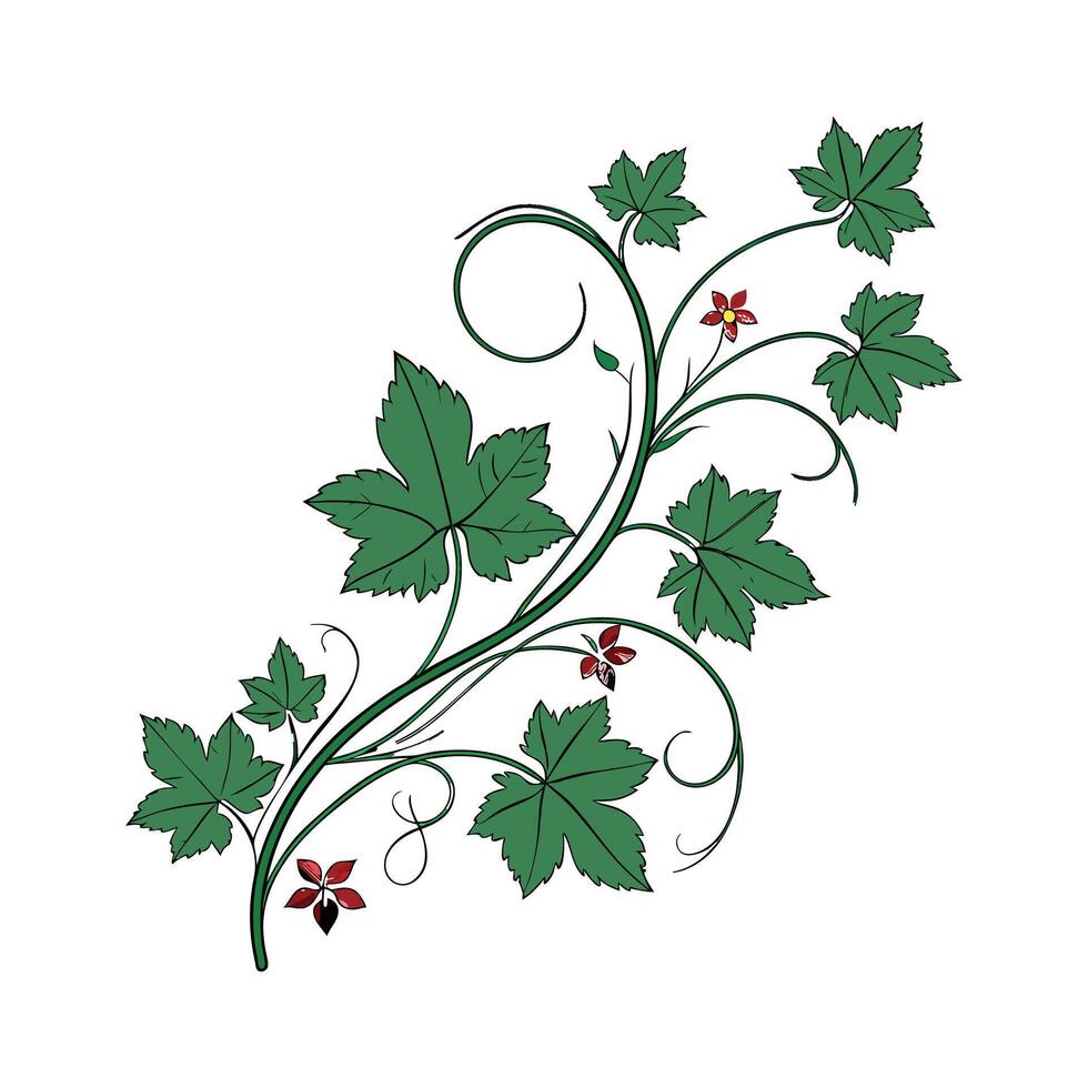 Stylish Vine Plant Display on Bright vector