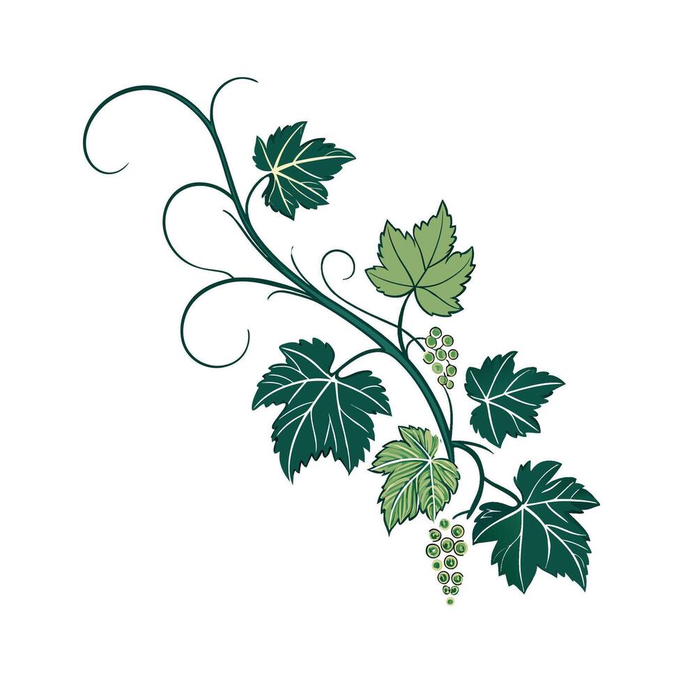 Elegant Vine Plant in Bright Space vector