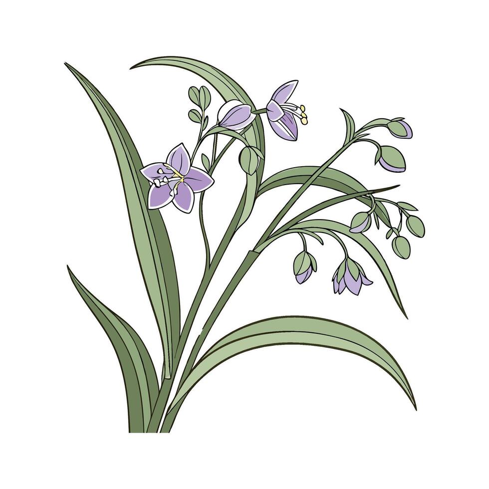 Charming Wandering Jew Display on Clean White vector