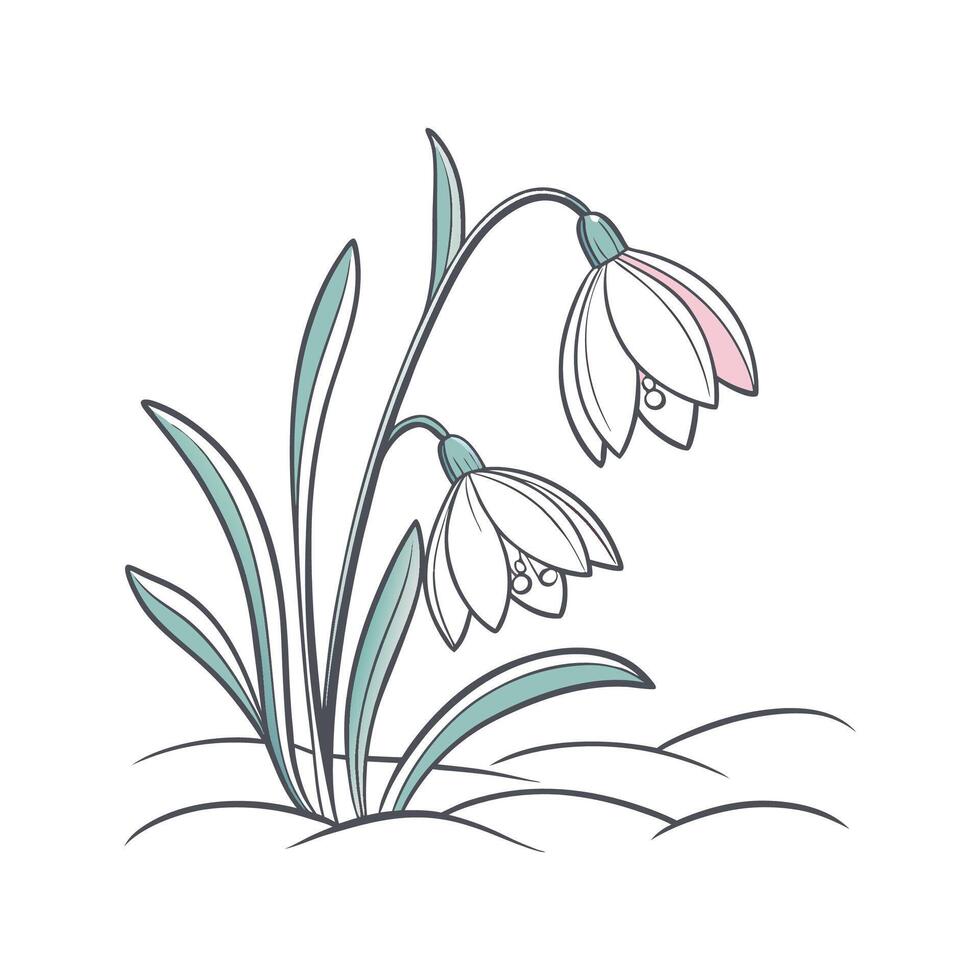 Winter Rose on White Background vector
