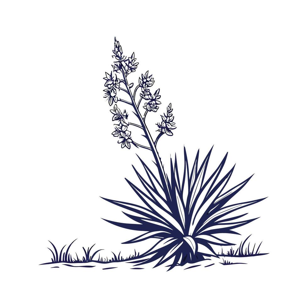 Yucca Plant Illustration with Bold Outline vector