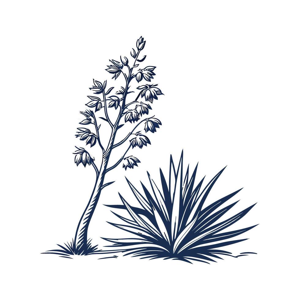 Stylish Yucca Plant Art with Bold Details vector