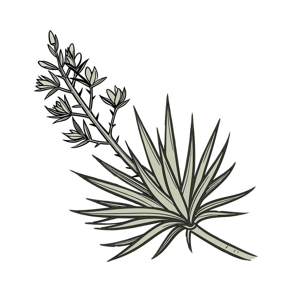 Stylish Yucca Plant Design on White Surface vector