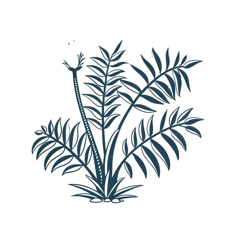 Zamia Displayed on White Background vector