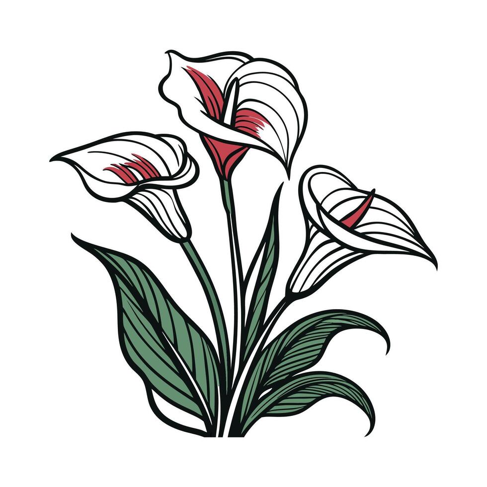 Gorgeous Zantedeschia Plant Illustration for Decor vector
