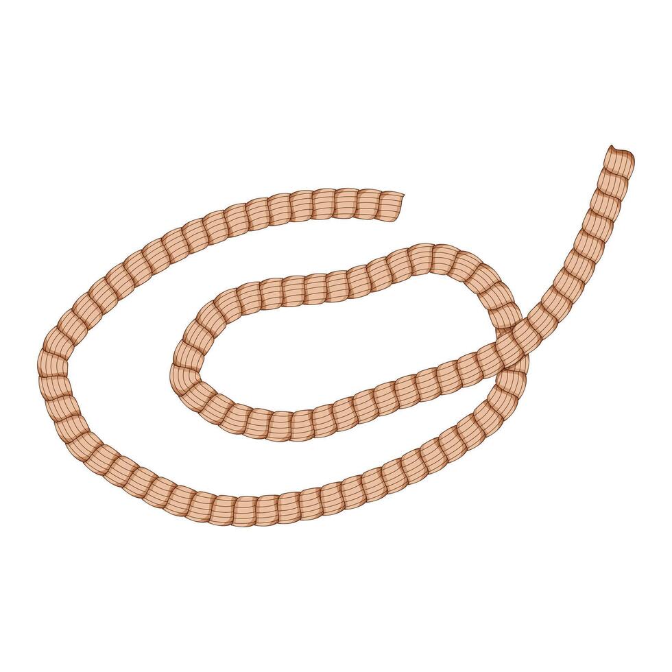 polyester rope cartoon illustration vector