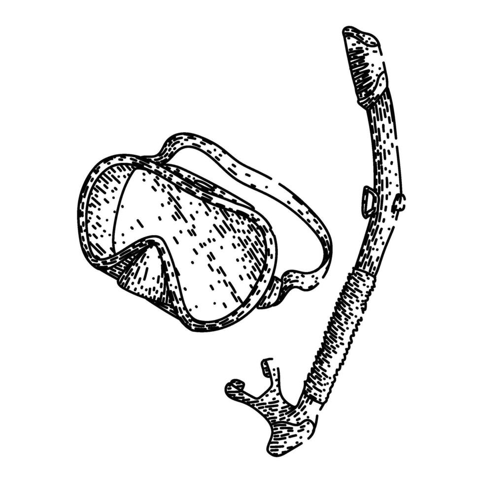 fins snorkel sketch hand item drawn vector