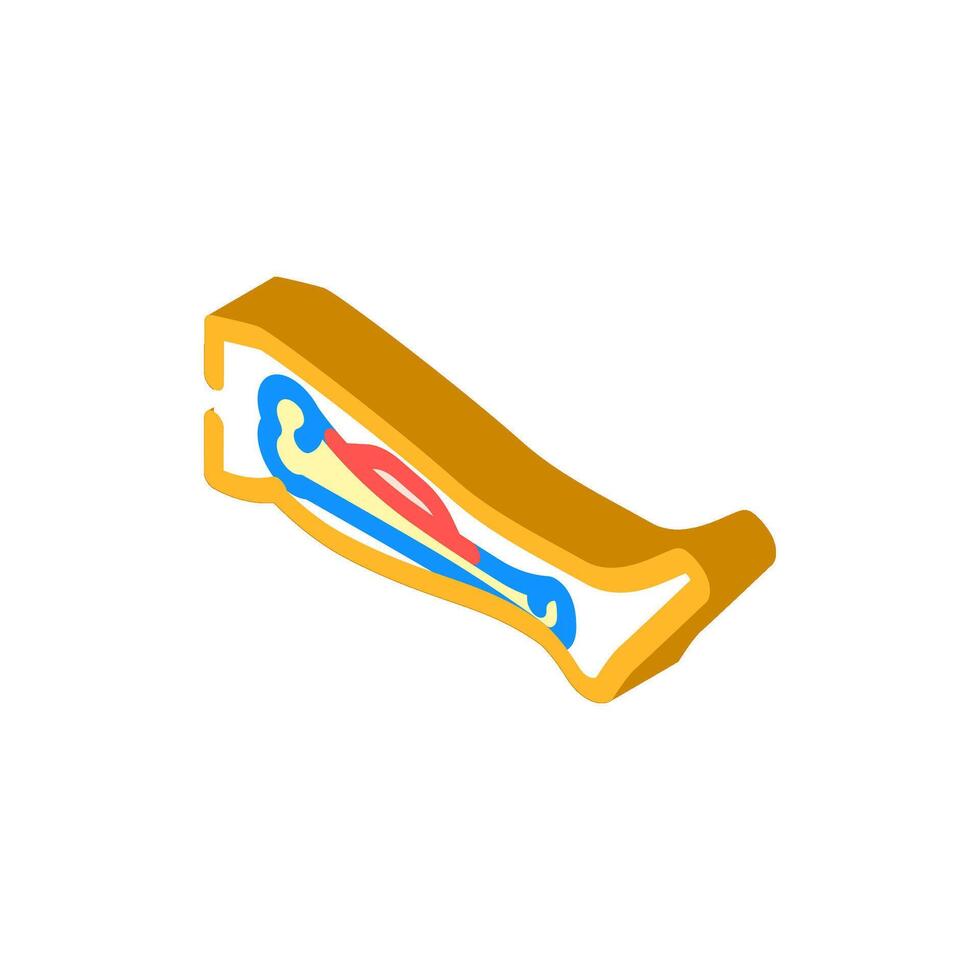 hairline fracture isometric icon illustration vector