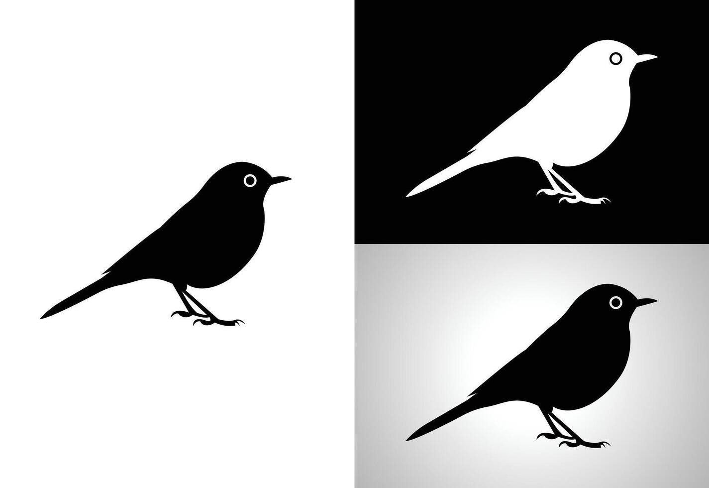 Bird logo design, design Template vector