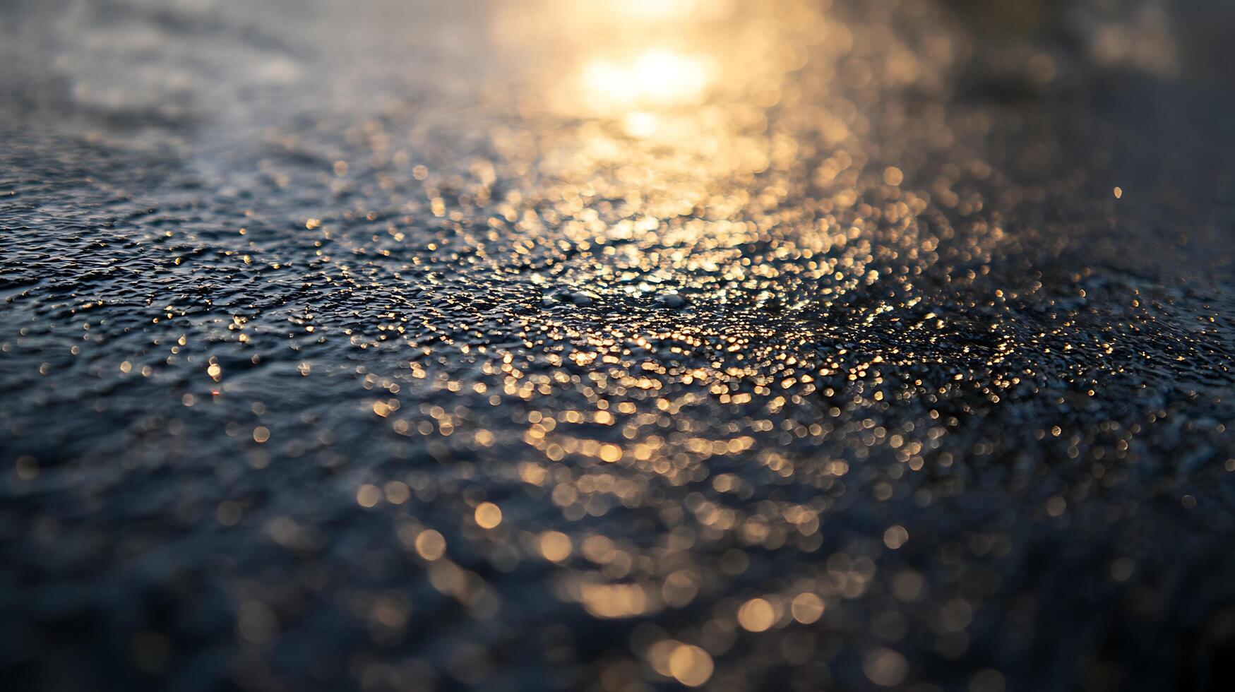 Golden Light Reflections on a Wet Surface photo