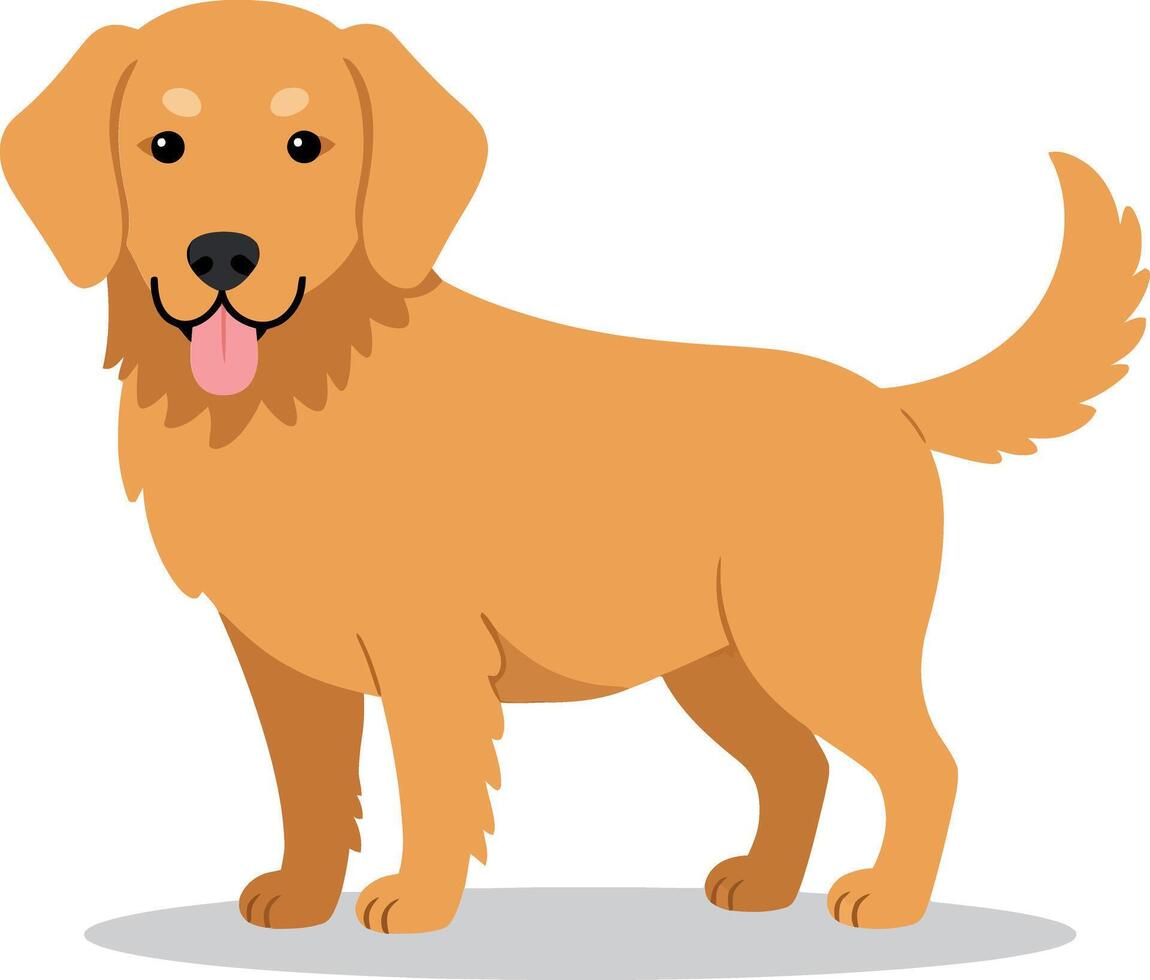 Friendly golden retriever standing playfully in a flat design style showcasing its fluffy fur and joyful demeanor in vibrant art vector