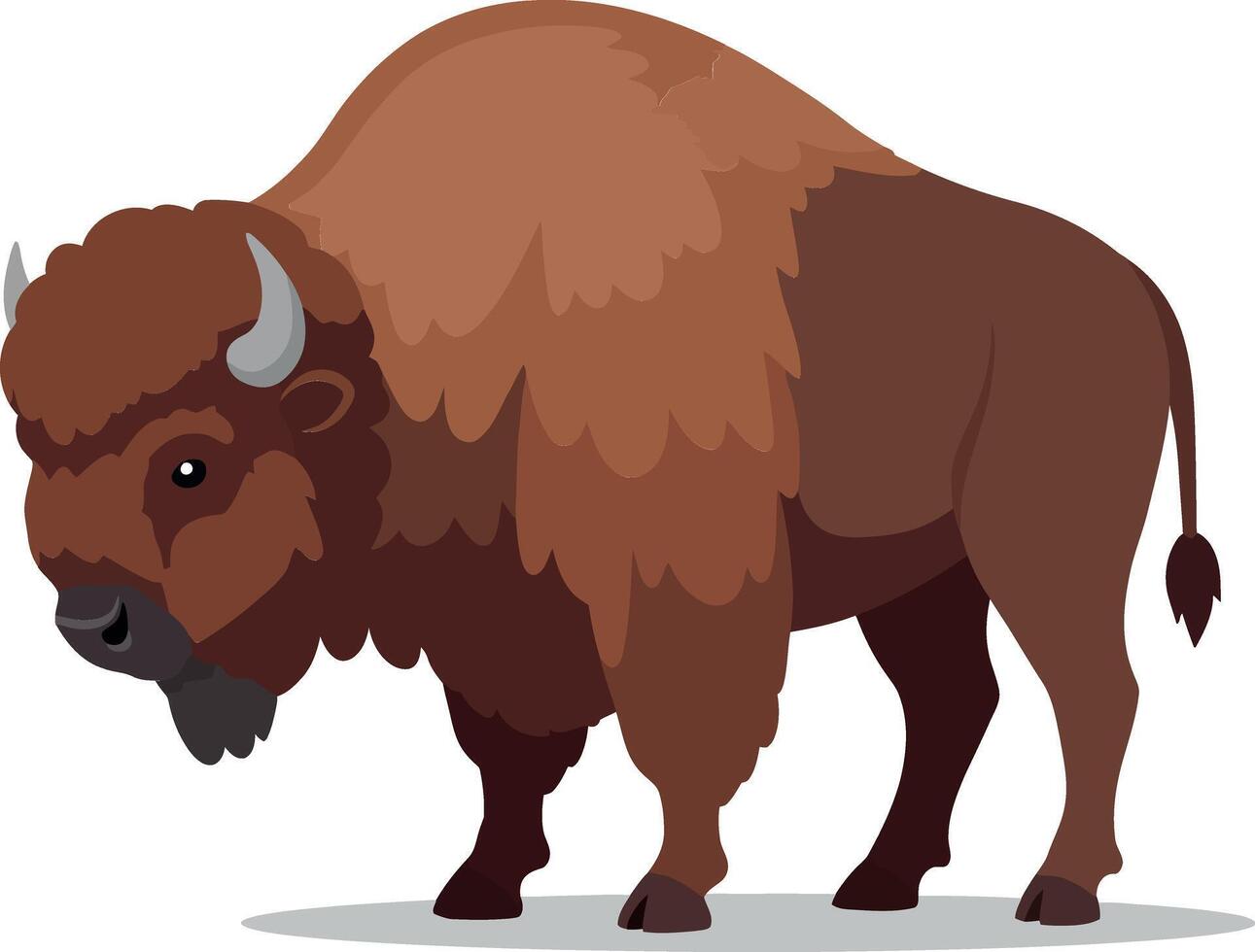 A detailed flat illustration of a strong bison standing confidently in a neutral pose showcasing its majestic features as art vector