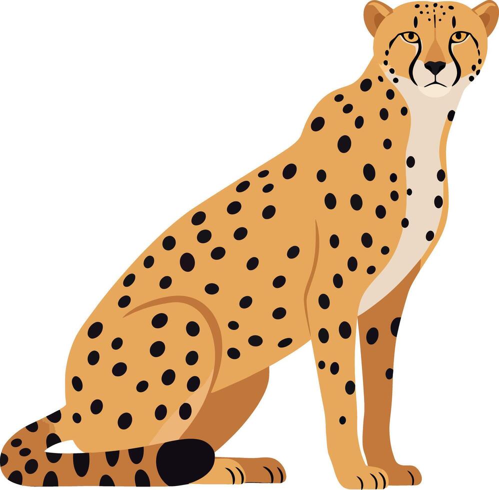 Cheetah sitting gracefully with distinct spots in a flat design showcasing its sleek form and poised demeanor in vibrant art vector