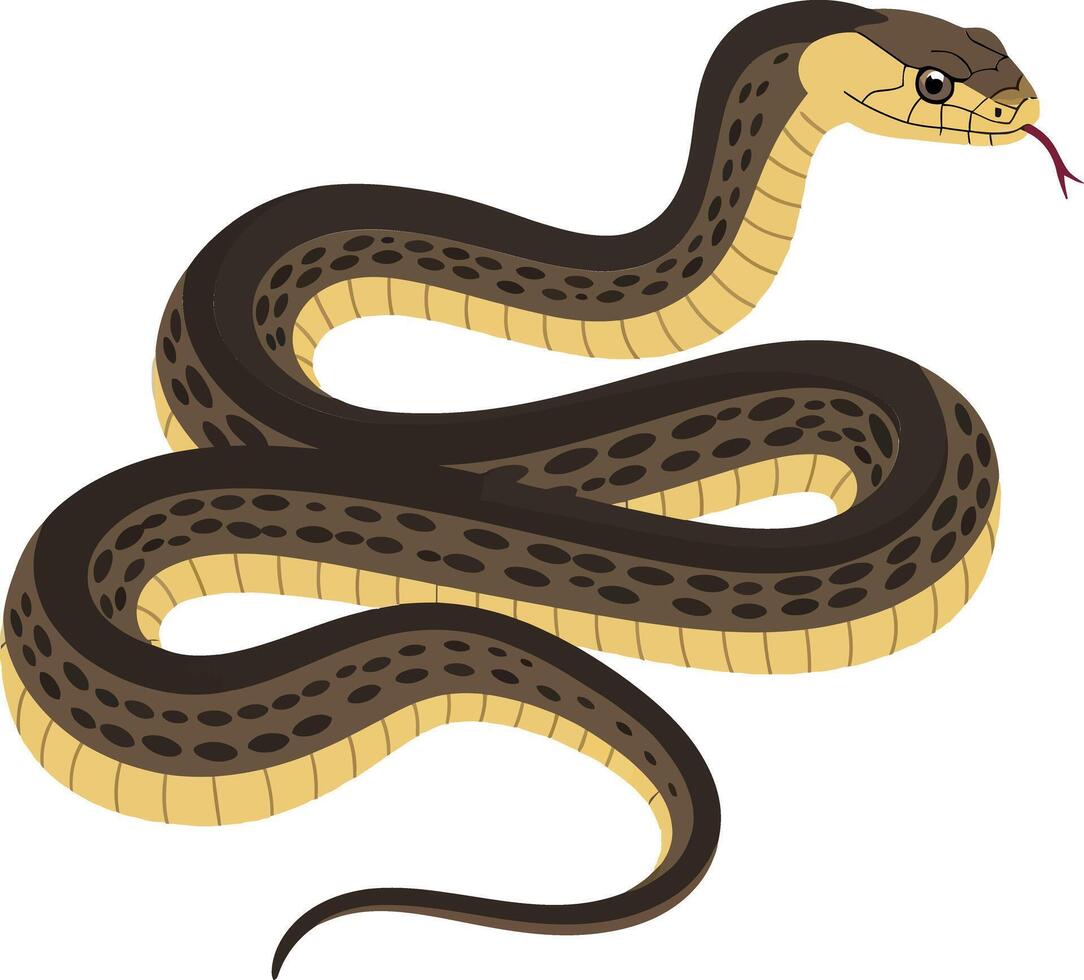 Brown and yellow snake coiled gracefully in a flat design style showcasing vibrant patterns and textures in art vector