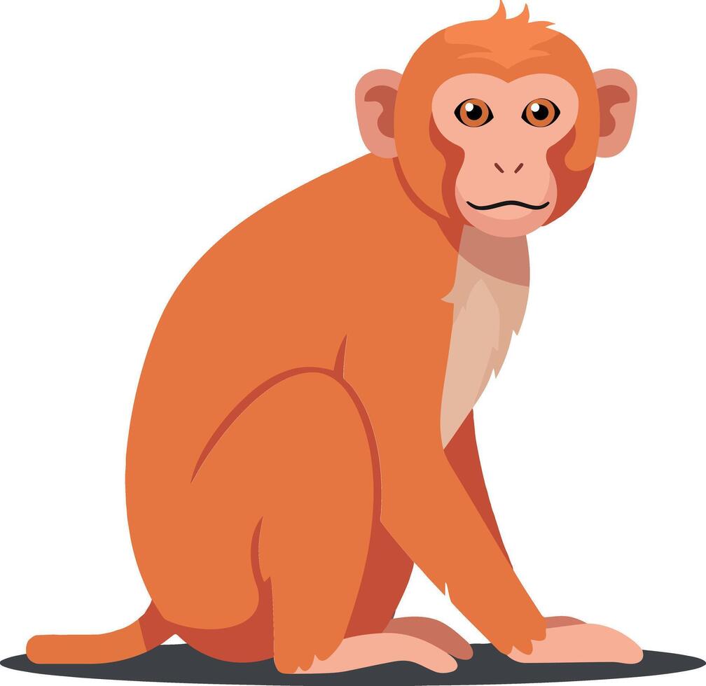 Orange monkey sitting calmly with a friendly expression in a flat art style, showcasing its playful nature and charming features in a minimalistic design vector