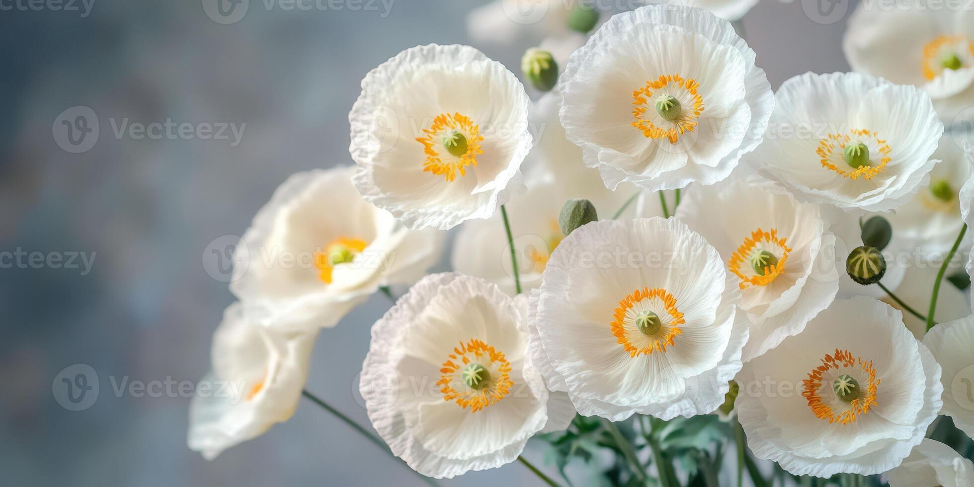 White poppy flowers in a simple vase against a muted background showcasing delicate petals and vibrant stamens photo
