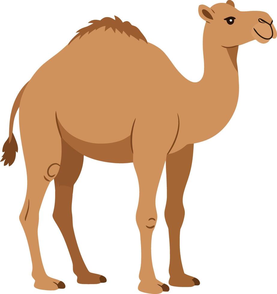 A friendly brown camel standing proudly in a flat design style, showcasing its distinctive humps and gentle expression in this vibrant art vector