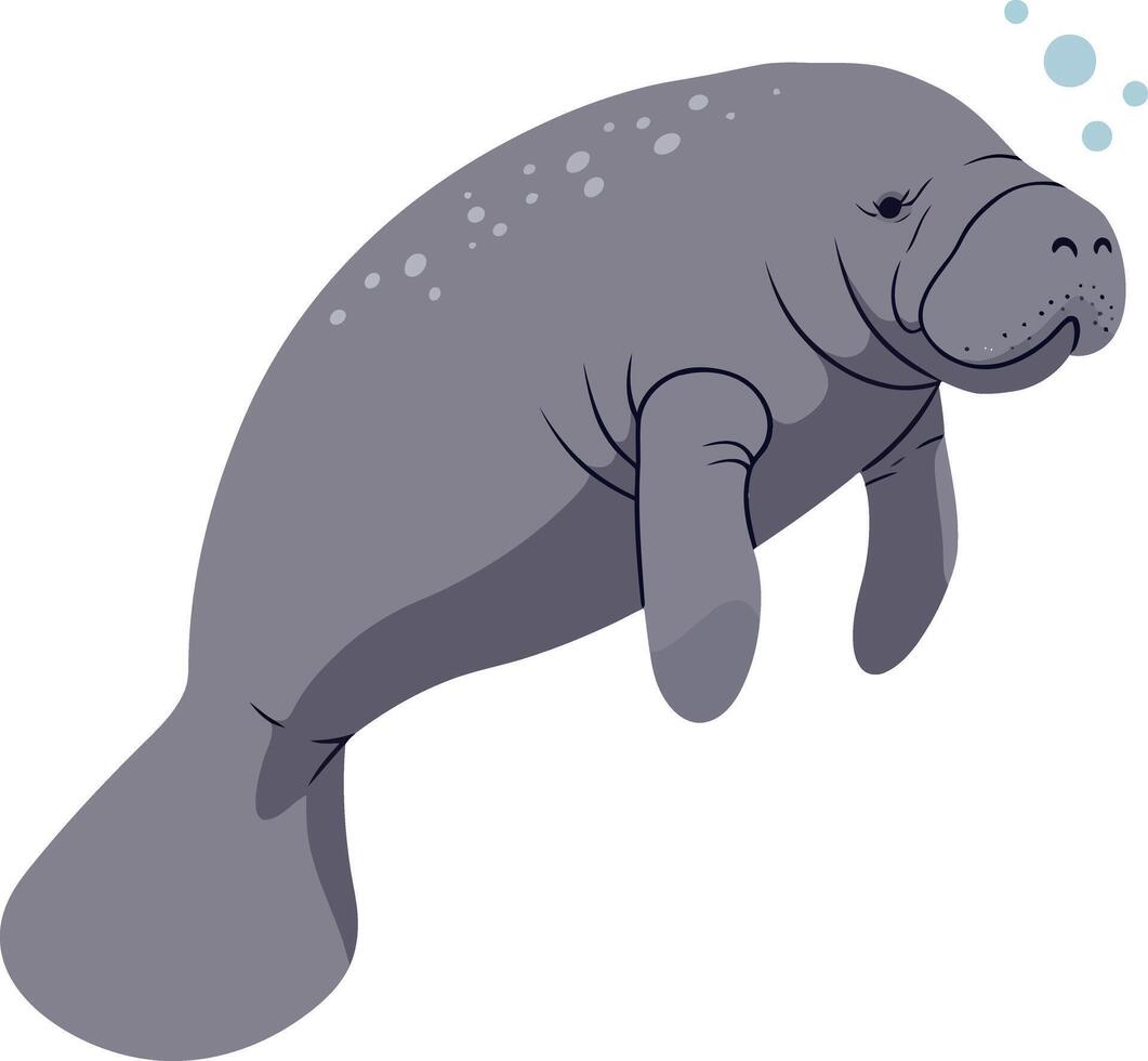 Manatee gracefully swimming underwater in a playful manner featuring a minimalistic design style in art vector