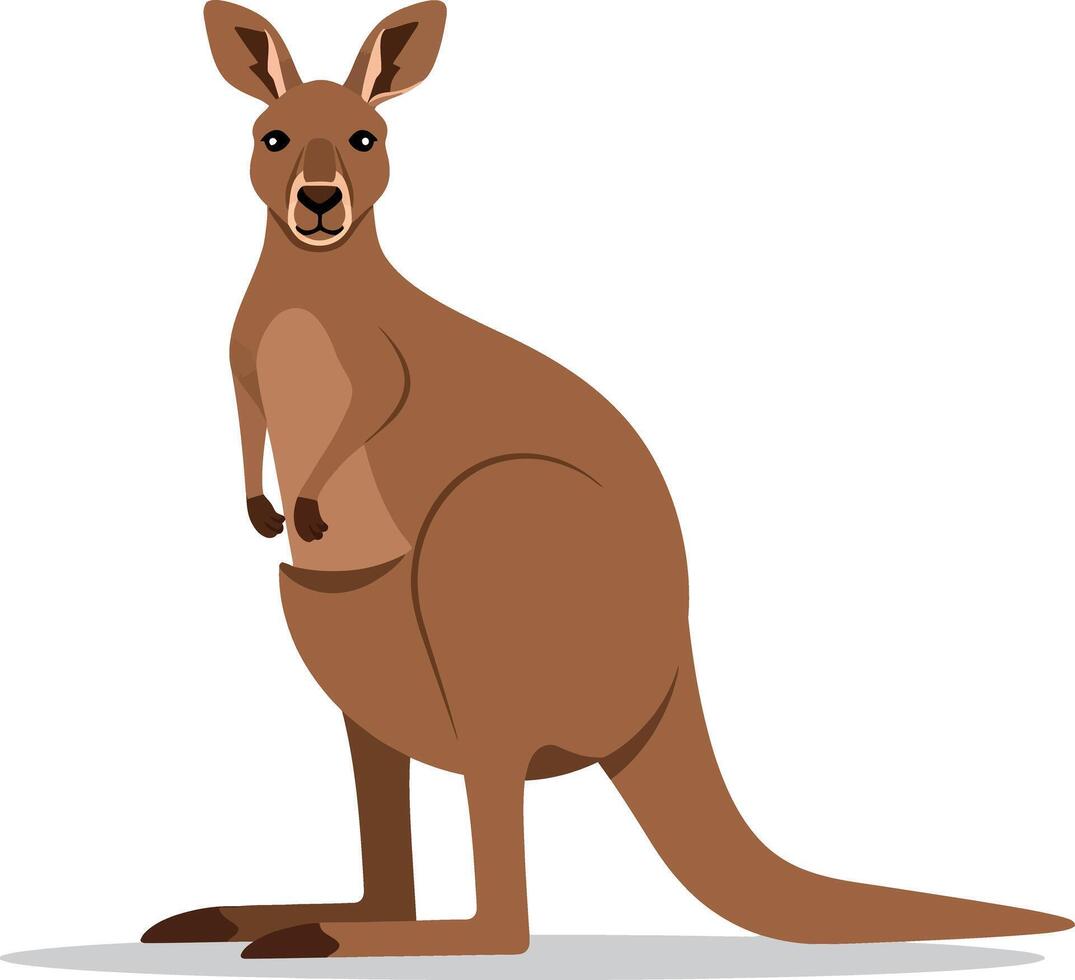 A standing kangaroo in a flat design style showcasing its slender body and playful expression, perfect for wildlife-themed art vector