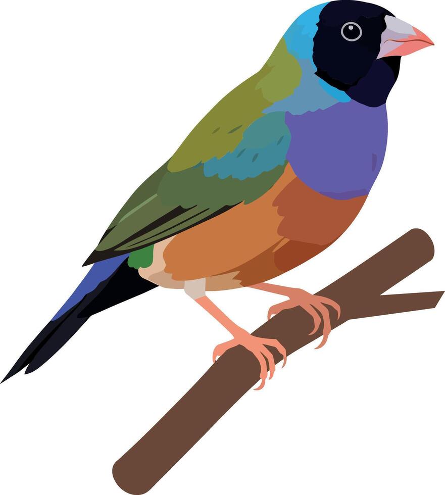 Colorful bird perched on a brown branch in a flat design style showcasing vibrant plumage and intricate details art vector