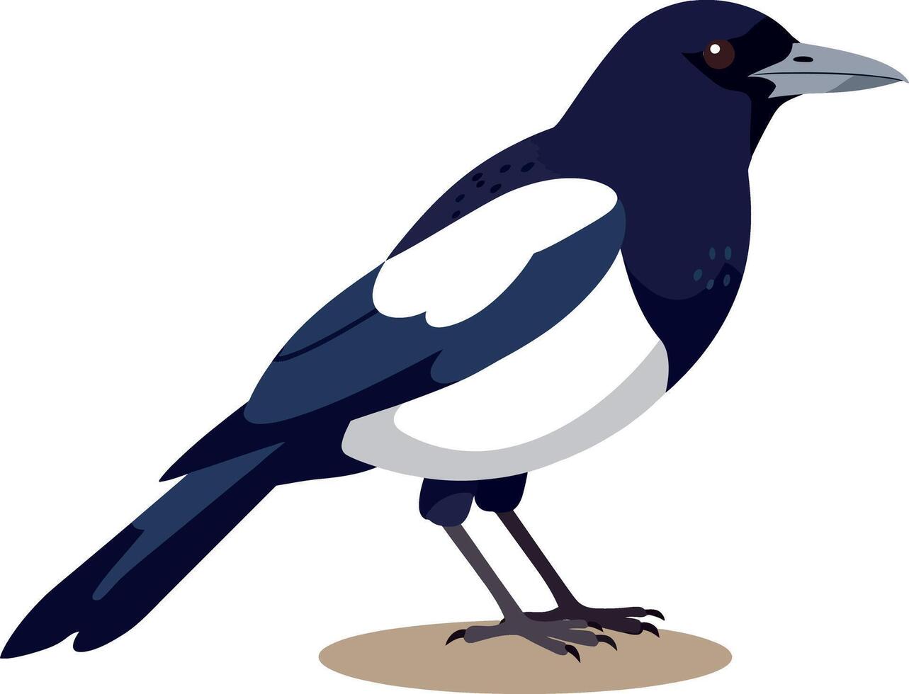 A striking black and white magpie perched gracefully on a simple ground in flat art style showcasing its distinctive features and elegant posture in a serene setting vector