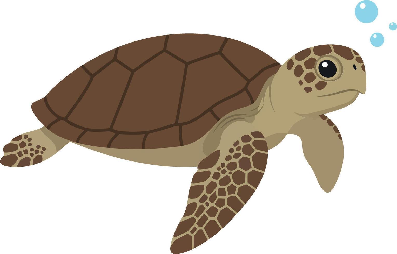 Sea turtle swimming gracefully through clear water in a minimalistic flat design illustration vector