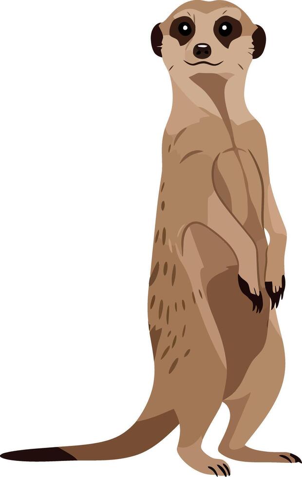 A curious meerkat standing upright with a playful expression, showcasing minimalistic design and warm earth tones, illustration vector
