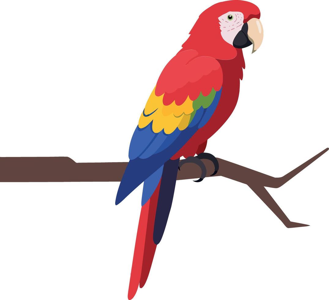 Vibrant red parrot perched on a branch showcasing detailed flat art with colorful feathers and a lively expression in a natural setting vector