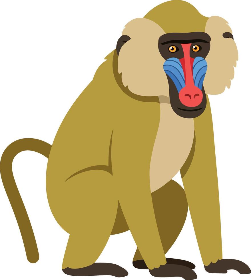 A colorful baboon sitting calmly with vibrant facial features in a flat, minimal design style showcasing art vector