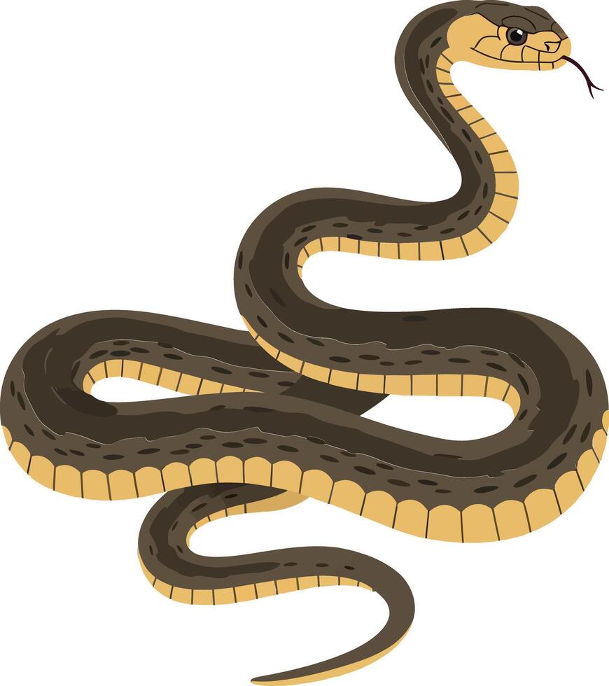 Realistic snake illustration featuring detailed scales and natural coloration in a minimalistic design style, perfect for educational and decorative art vector